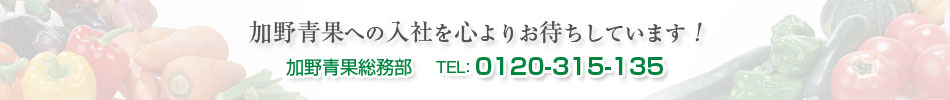 加野青果への入社を心よりお待ちしています！ 加野青果総務部 TEL:0120-315-135